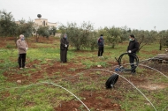 Photo: ©FAO/Sheam Kaheel